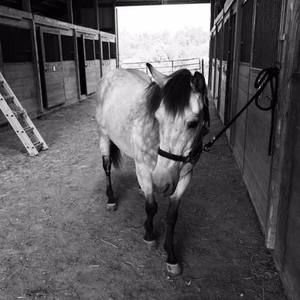 Meet your Posher, Brian